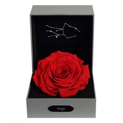十二星座经典红·处女座----红色永生玫瑰:厄瓜多尔进口巨型玫瑰