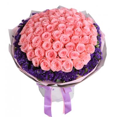 不变的心----戴安娜玫瑰66枝