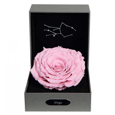十二星座经典粉·处女座----粉色永生玫瑰:厄瓜多尔进口巨型玫瑰