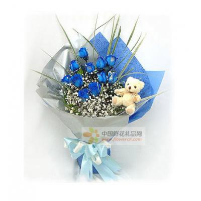 蓝色爱恋----11枝蓝色妖姬(昆明产)，5寸小熊